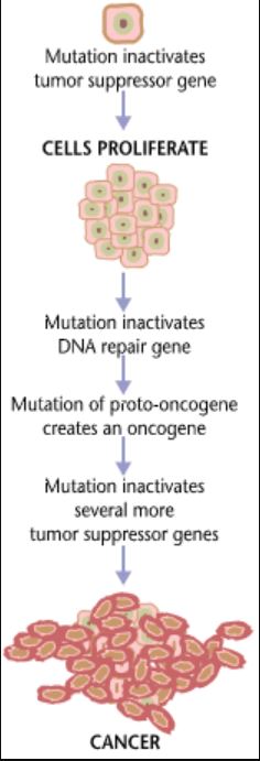 How-a-tumour-forms