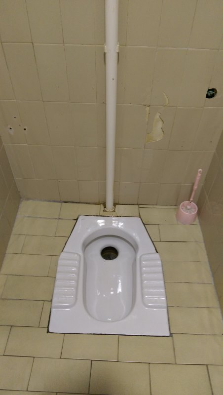 Toilet-in-Croatia